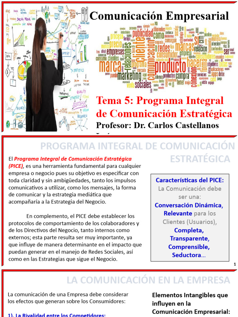 Programa Integral De Comunicacion Estrategica Pdf Marketing Business