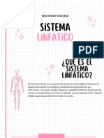 Sistema Linfatico - 20240313 - 201318 - 0000