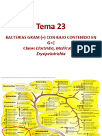 Tema 23-Raúl