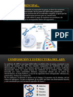 Odontologia Forence