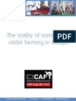 CAFT Rabbit Fur Report