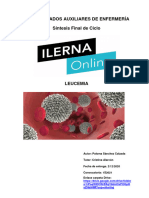 Sintesis Leucemia 2