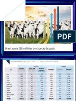 Aula Gado de Corte 1 (Estatísticas e Índices Zootécnicos)