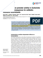 Position Effects On Promoter Activity Review