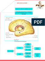 Mapa Mental Nucleos Da Base