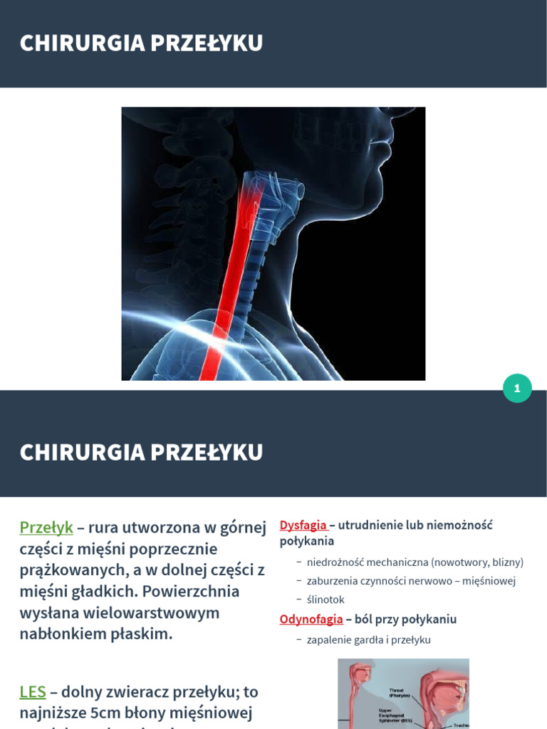 Chirurgia Przełyku I I Przepony | PDF
