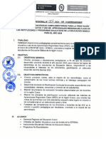 Directiva Complementaria Region Cusco 2024