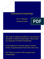 Anatomical Terminologies