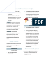 Obtenção de Matéria Nos Seres Autotróficos