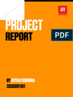 Project Report Ice