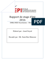 Amal Soyed Rapport de Stage 2016