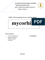 Mycorhize 2