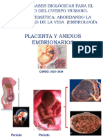 Conferencia Placenta y Anexos Embrionarios