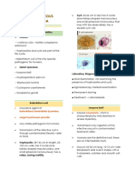 Miscellaneous Protozoa1