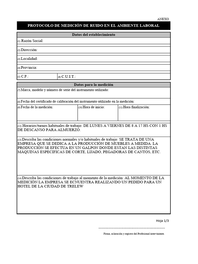 Protocolo de Medición de Ruido Laboral | PDF | ruido