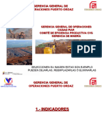 Minería Eficiencia Productiva Grupo Fmo - CVG