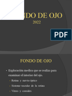 Tema 10 fondo de ojo 2022.pptx