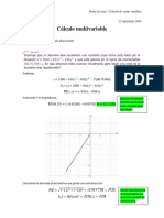 Derivada Direccional