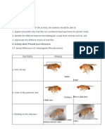 Laboratory Activity 3 Variations in Drosophila Melanogaster