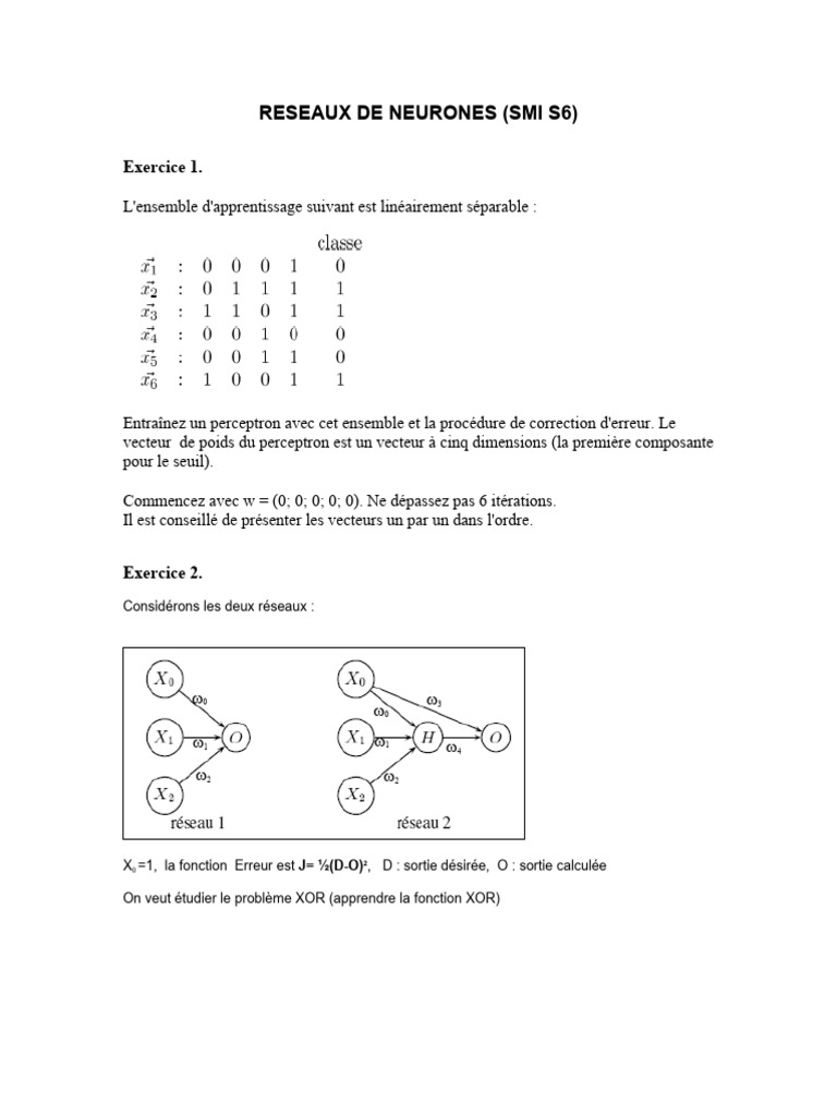 Exercices sur les Réseaux de Neurones | PDF