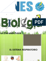 Clase Biologia Sistema Respiratorio