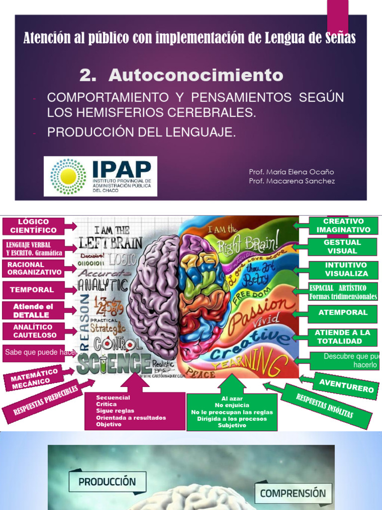 Autoconocimiento y Hemisferios Cerebrales | PDF | Hemisferio cerebral ...