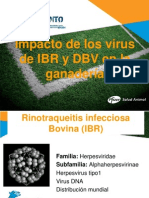 Ibr y DVB Jornada Actualizacion y Capacitacion en Reproduccion Animal