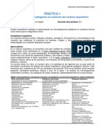 PRACTICA 1. Identificacion de Patógenos en Muestras Del Sistema Respiratorio