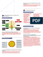 Fiches Lycee Corrections