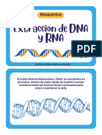 Extracción de DNA de Célula Vegetal - Balbuena Hécttor - Sección II