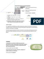 Genética Bacteriana y Mecanismos de La Transferencia Horizontal Genética