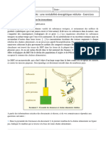 La Production Animale Une Rentabilite Energetique Reduite Exercices