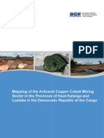 BGR (2019) Mapping of The DRC Artisanal Copper-Cobalt Sector Engl-Min