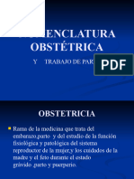 Nomenclatura Obstetrica