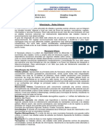 Redes Urbanas e Problemas Urbanos - Geografia