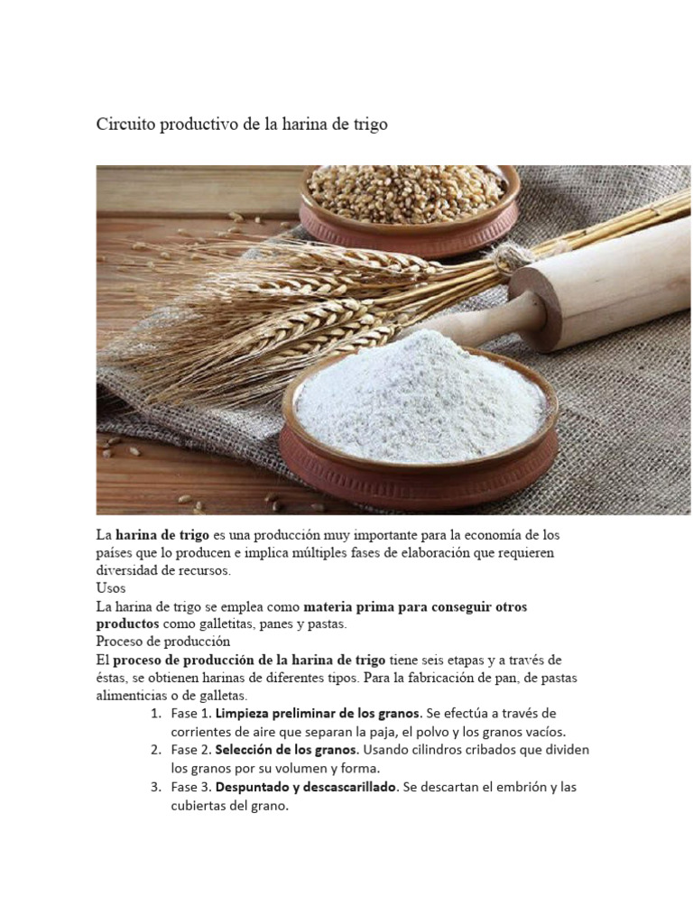 Circuito Productivo de la Harina de Trigo | PDF | Harina | Trigo