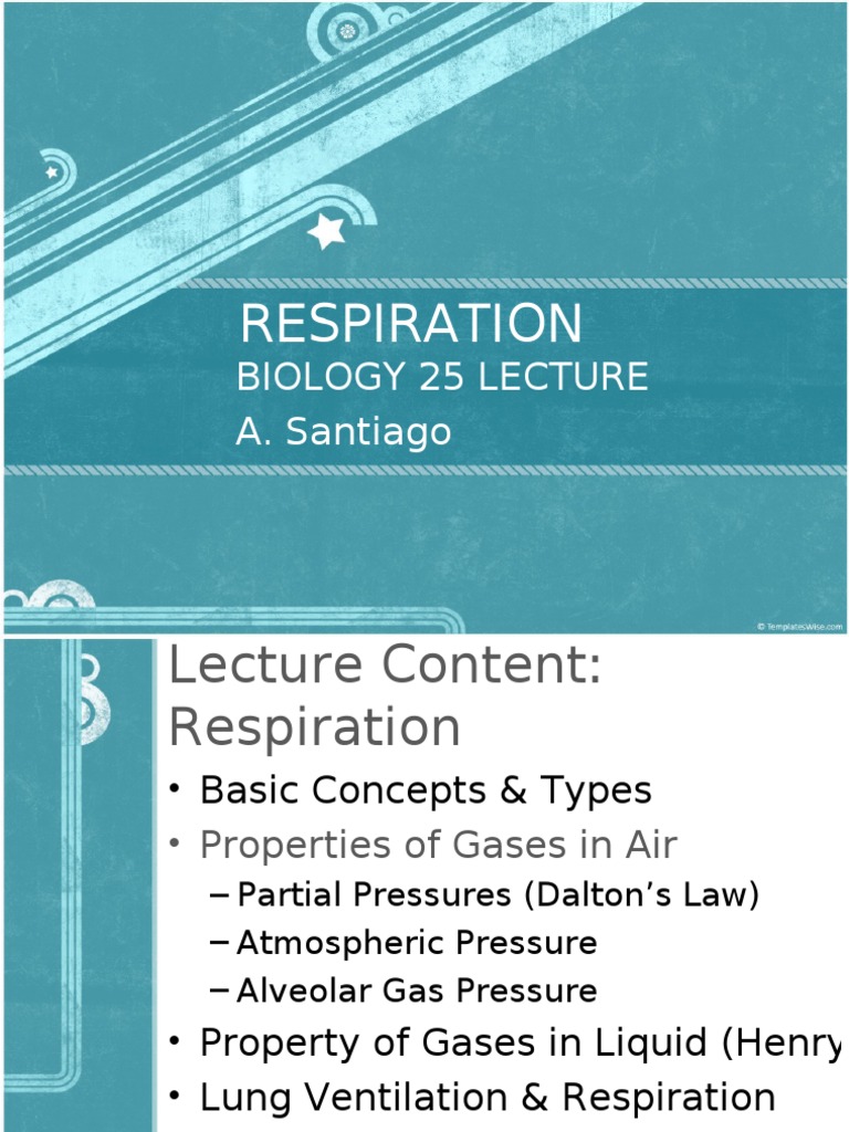 Respiration: Biology 25 Lecture A. Santiago | PDF | Respiratory System ...