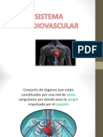 Sistema Cardiovascular