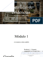 Portafolio de Evidencias