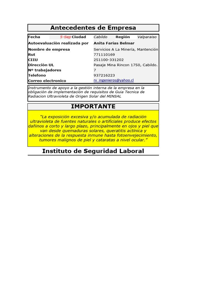 RUV - Planilla Autoevaluación | PDF