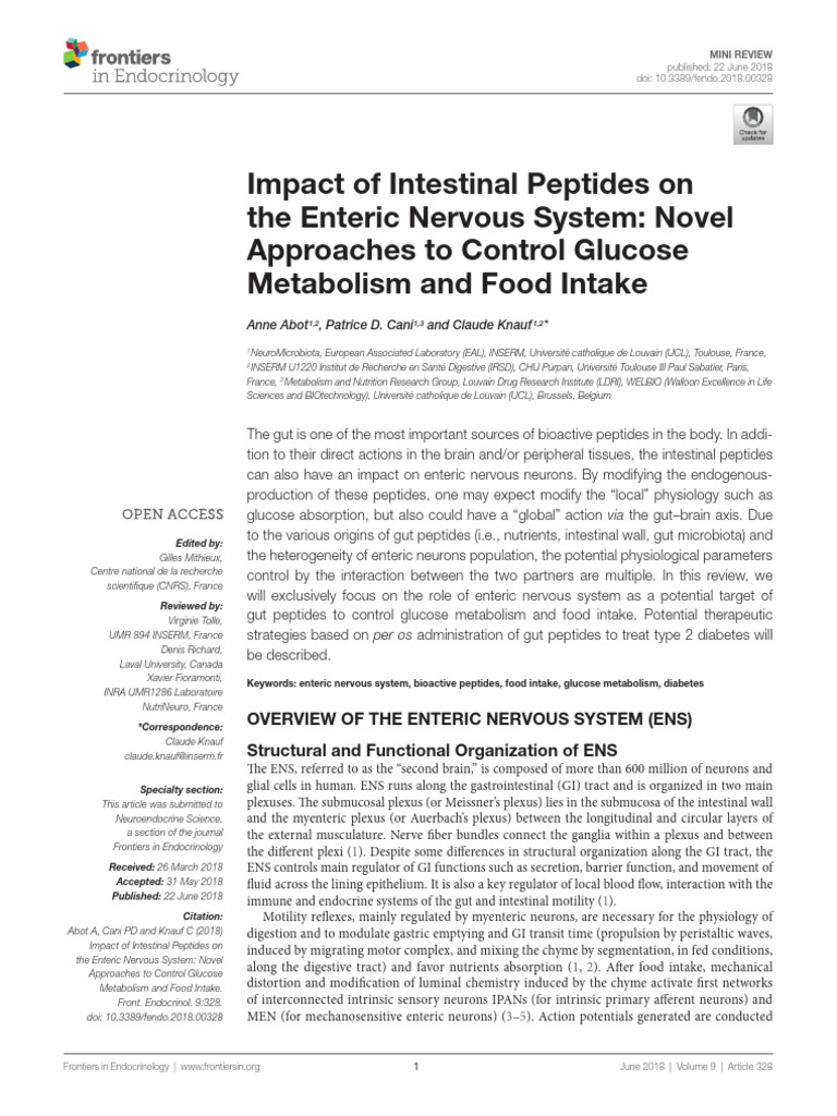 Peptides Pdf Gastrointestinal Tract Nervous System