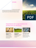 Agronomia - PPTX 20240310 192727 0000