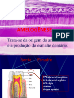Amelogênese - Slides EM PDF