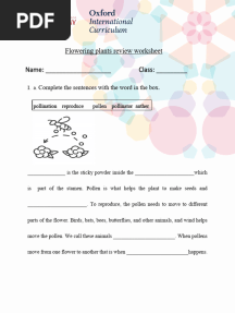 Pollination Worksheet