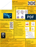 Adn-B Adn-A: El Más Común Entre Los Seres Vivos