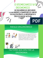 Riesgo Biomecanico