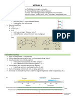 Lecture 3