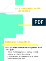 31 Picadas y Mordeduras de Animales