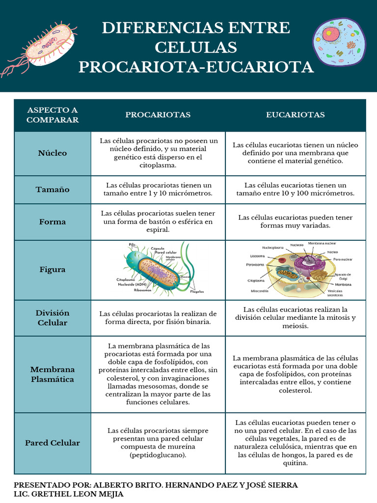 Comparativa entre Procariotas y Eucariotas | PDF | Biología Celular ...