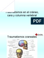 Traumatismos en El Cráneo, Cara y Columna